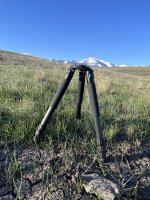IMG_9998.jpeg