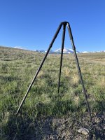 IMG_9999.jpeg