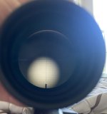 IMG_4536.jpeg