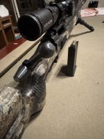 IMG_3175.jpeg
