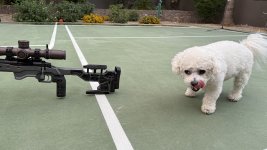 IMG_0834.jpeg