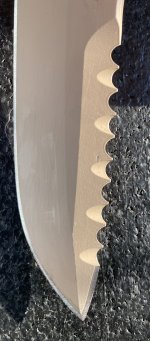 IMG_4557.jpeg