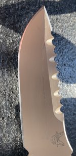 IMG_4558.jpeg