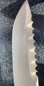 IMG_4559.jpeg