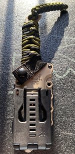 IMG_4563.jpeg