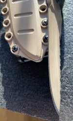 IMG_4564.jpeg