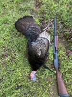 IMG_9288.jpeg