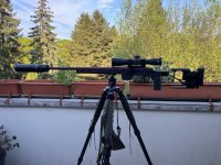 IMG_0140.jpeg