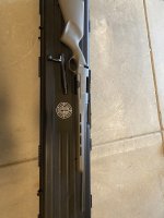 IMG_3161.jpeg