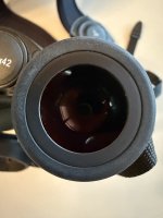 IMG_7035.jpeg