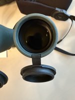 IMG_7037.jpeg