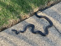 IMG_9529.jpeg