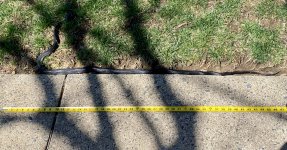 IMG_9547.jpeg