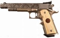 fitz 1911.jpg