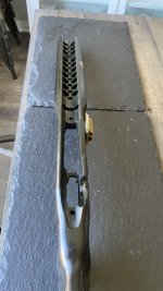 IMG_8444.jpeg