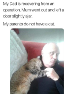 1745196511064.png
