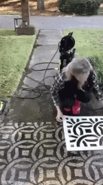 daily_gifdump_4978_13.gif