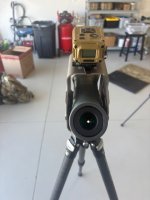IMG_4456.jpeg