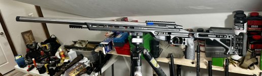 IMG_7199.jpeg