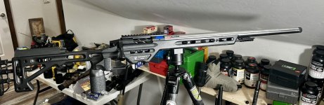 IMG_7201.jpeg