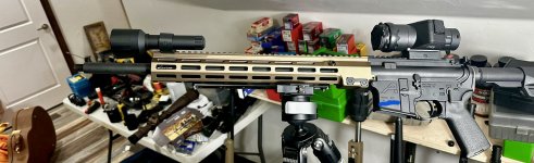IMG_7204.jpeg