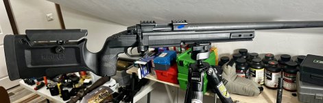 IMG_7209.jpeg