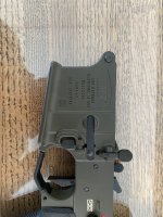 IMG_7949.jpeg