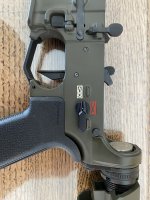IMG_7950.jpeg