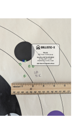 Ballistic-X-Export-2025-04-25 13_04_25.688588.png
