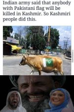 IMG_7431.jpeg