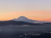 IMG_5203.jpeg