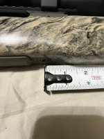 IMG_8017.jpeg