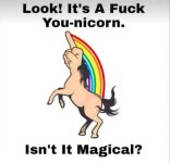IMG_6609.jpeg