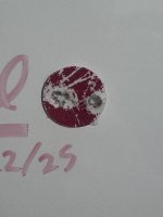 IMG_7498.jpeg
