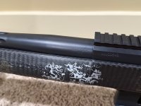 IMG_0183.jpeg