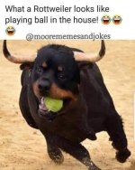 C2383DD7-8B10-4D21-87E9-60BDDCEC7BB7.jpeg