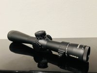 IMG_8800.jpeg