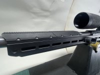 IMG_1490.jpeg