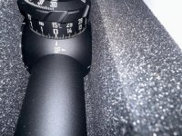 IMG_3743.jpeg