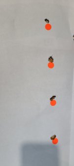 20250503_113936.jpg