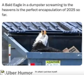 1746485145167.png