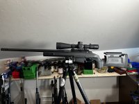 IMG_7308.jpeg