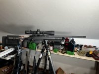 IMG_7309.jpeg