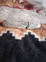 mini elephant tusk.jpg