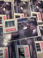 IMG_1995.jpeg
