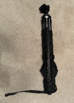 IMG_2107.jpeg