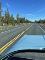 IMG_7561.jpeg