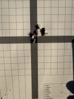 IMG_3957.jpeg