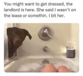 IMG_1484.jpeg