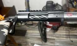 IMG_7332.jpeg